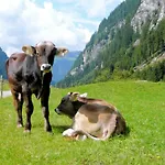Agroturismo Nieslerhof *