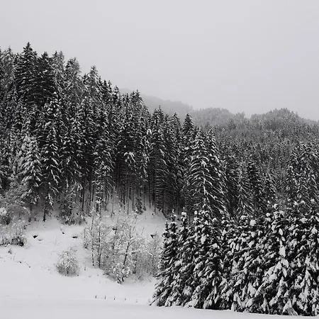 Farm stay Nieslerhof *