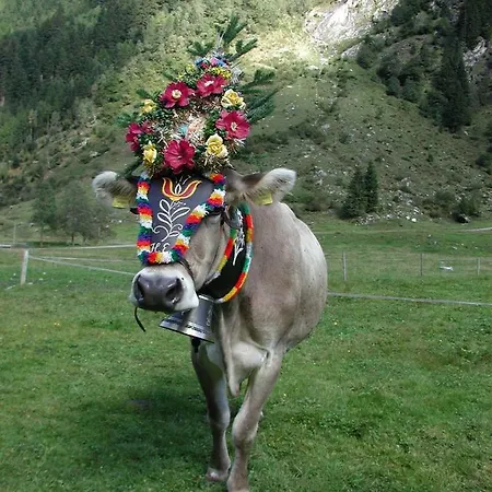 Nieslerhof * 메이른호픈