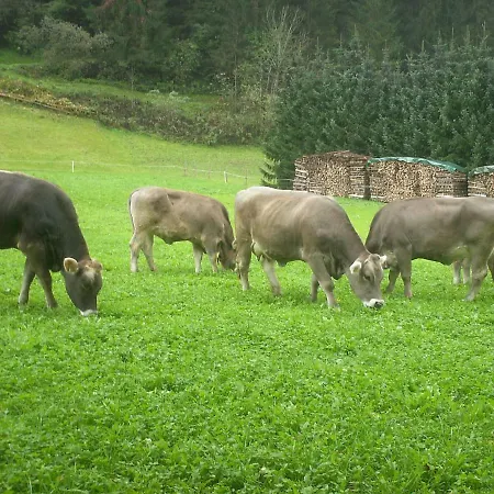Nieslerhof Feriegård Mayrhofen