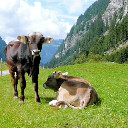 팜스테이 Nieslerhof *