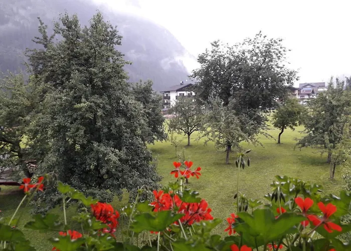 ファームステイ Nieslerhof マイヤーホーフェン