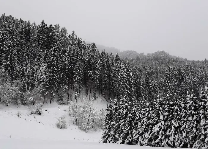 ファームステイ Nieslerhof *