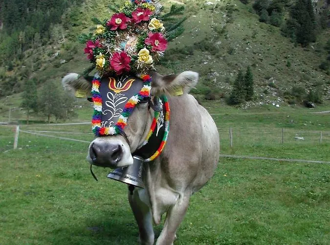 Nieslerhof * マイヤーホーフェン