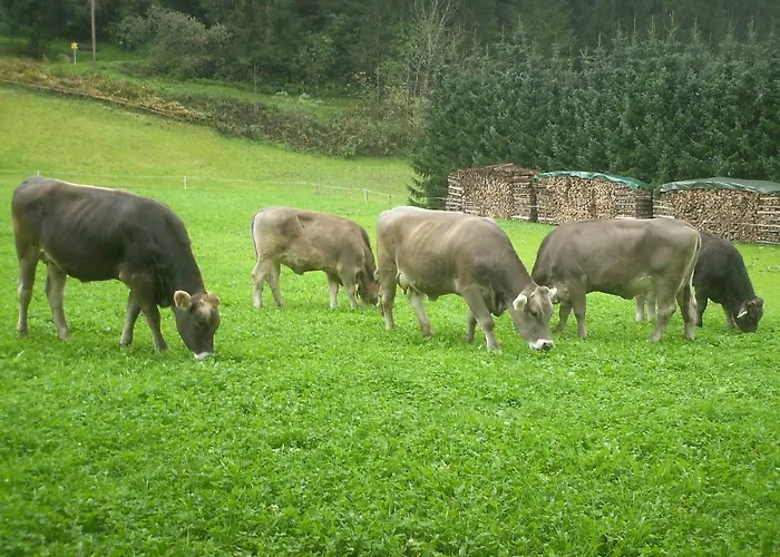 Nieslerhof Farmház Mayrhofen