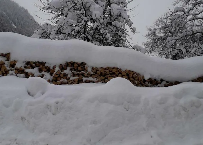 Nieslerhof * マイヤーホーフェン