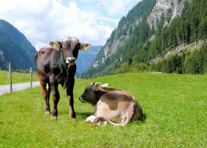 ファームステイ Nieslerhof *